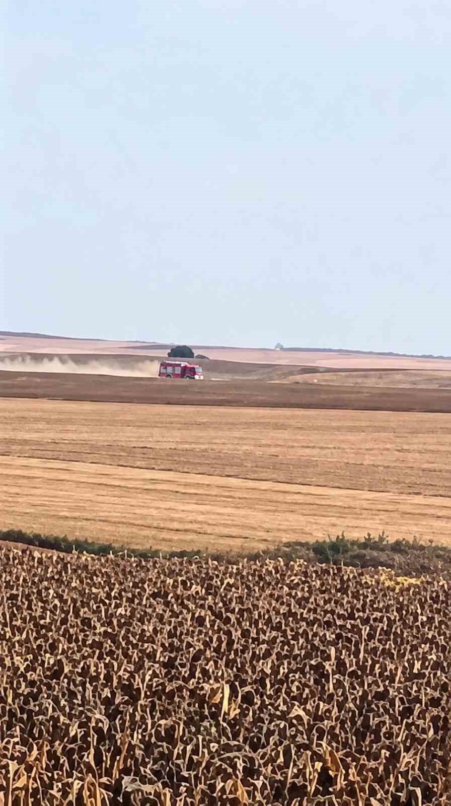 Tekirdağ’da anız yangını