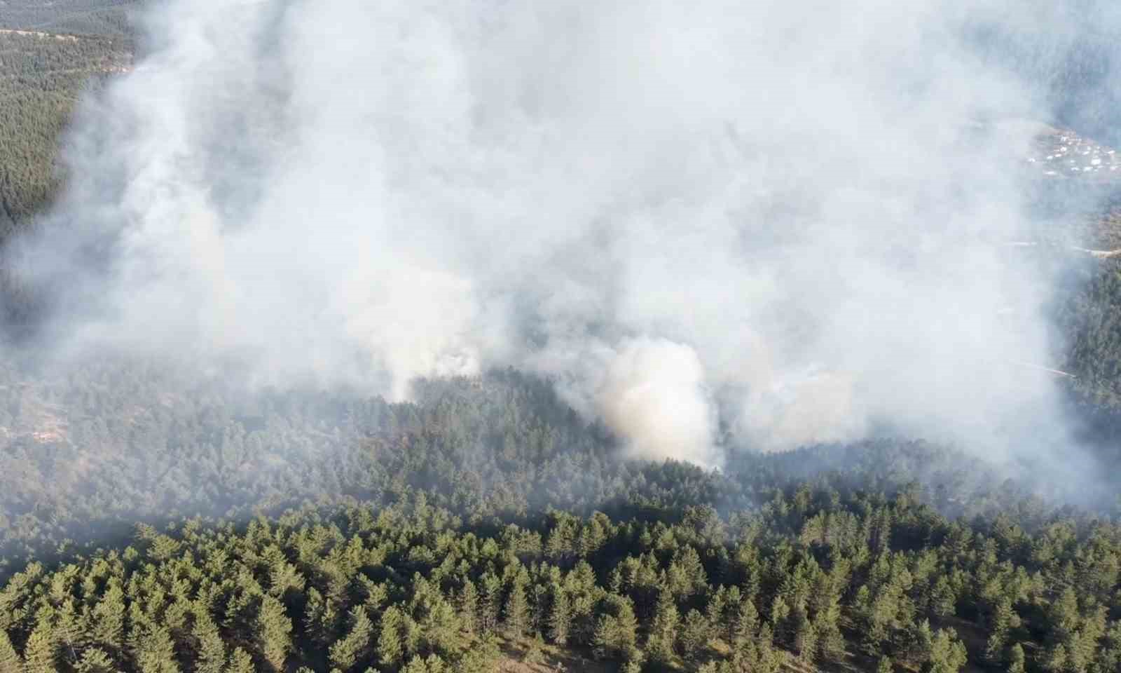 Kastamonu’da çıkan orman yangını kontrol altına alındı