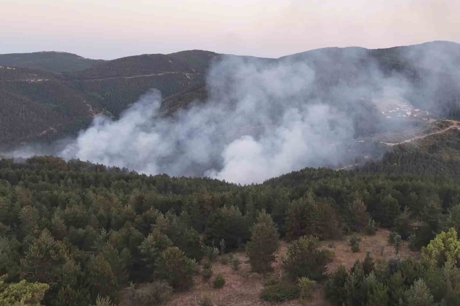 Kastamonu’da çıkan orman yangını kontrol altına alındı