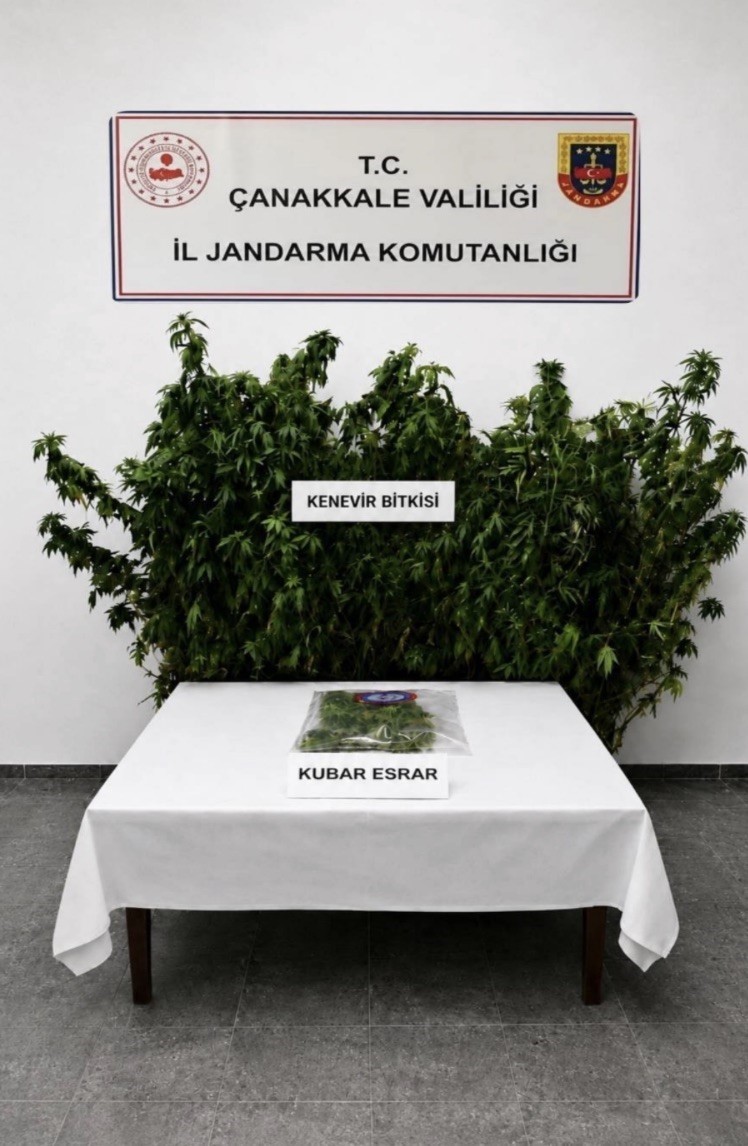 Çanakkale’de 3 ilçede uyuşturucu operasyonu