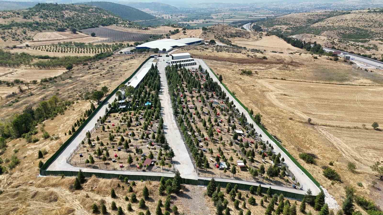 Altıeylül’de minik patiler için yuva seferberliği