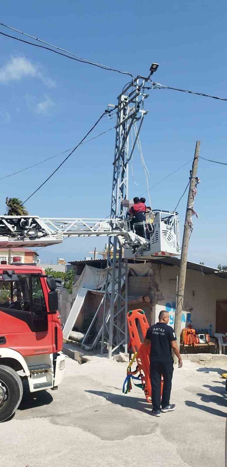 Elektrik direğinde erkek cesedi bulundu