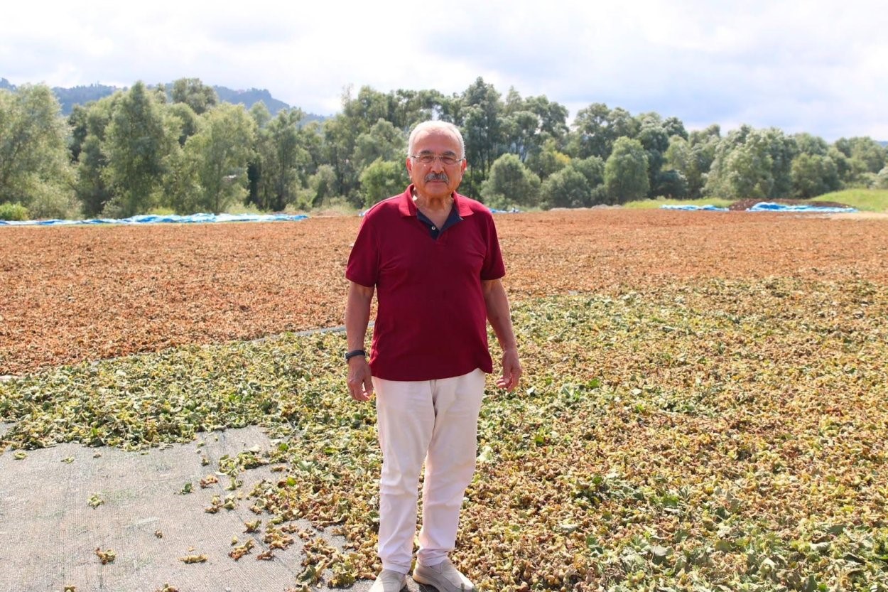 Başkan Güler: "Fındığa hem bilimsel hem teknik yaklaşıyoruz"