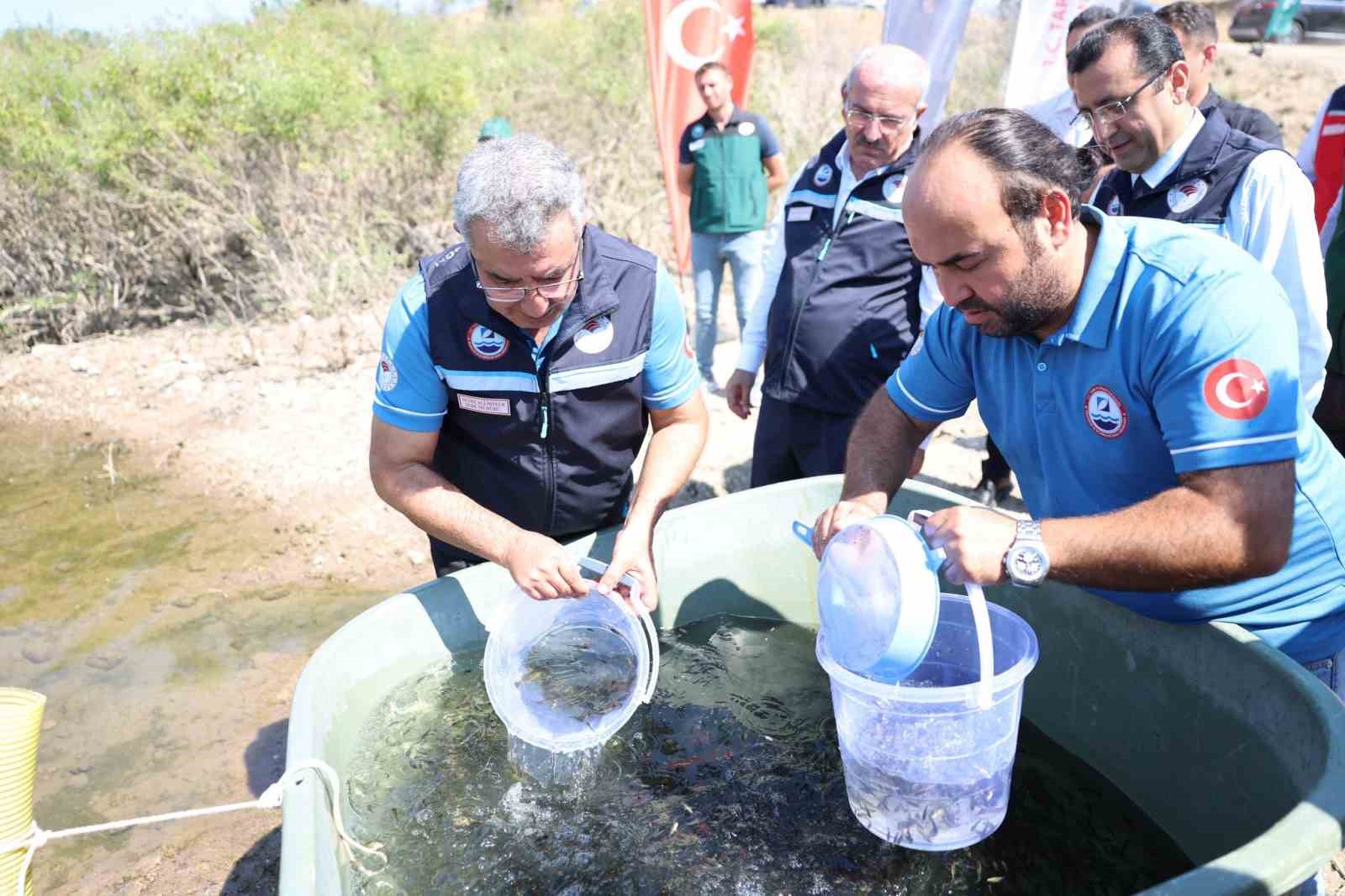 Atikhisar Barajı’na 348 bin sazan balığı yavrusu bırakıldı