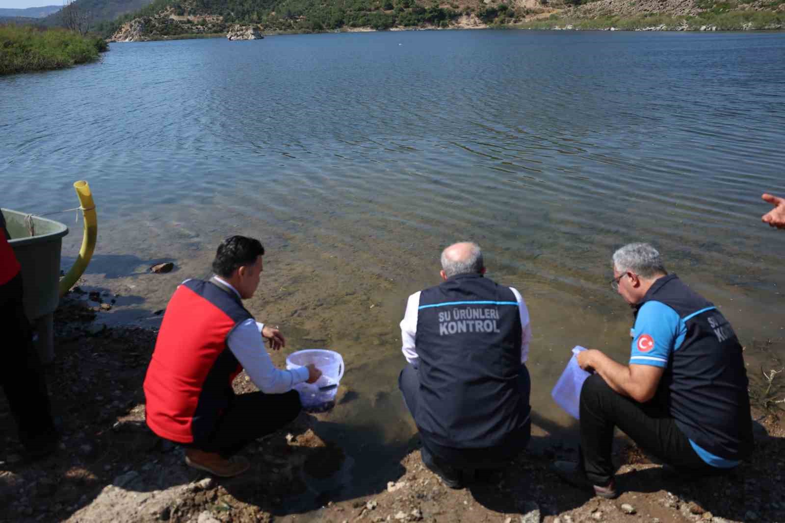 Atikhisar Barajı’na 348 bin sazan balığı yavrusu bırakıldı