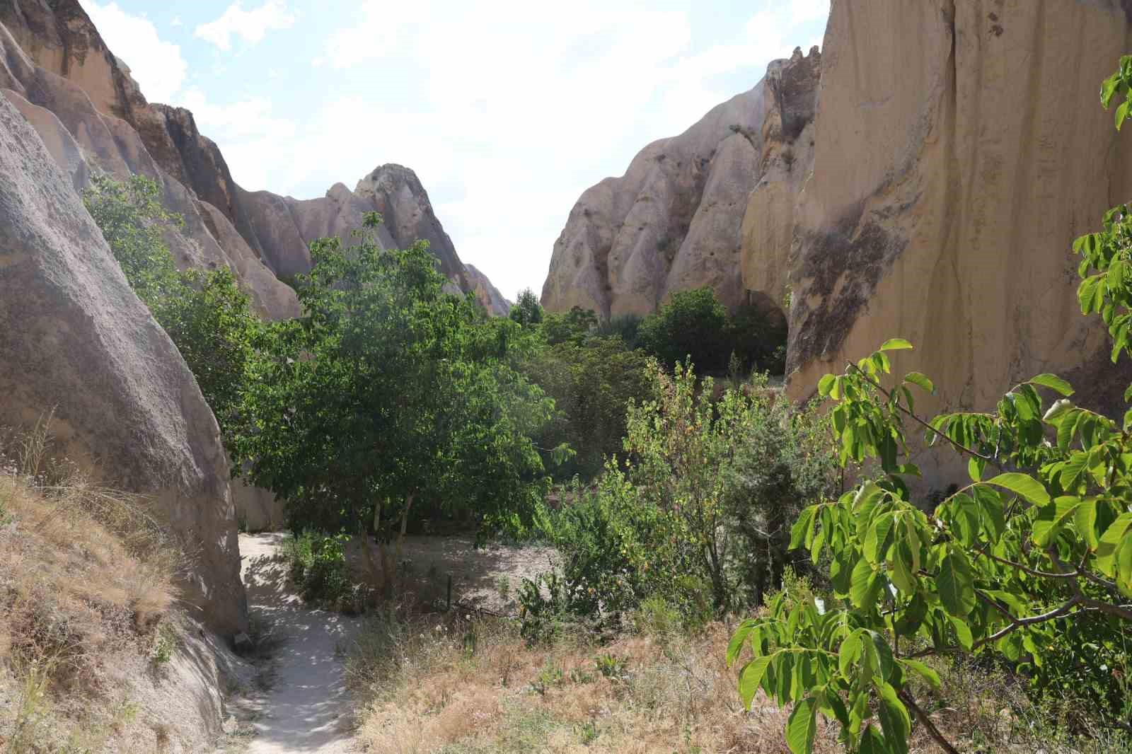 Ömrünün yarısından fazlasını turistlere adadı