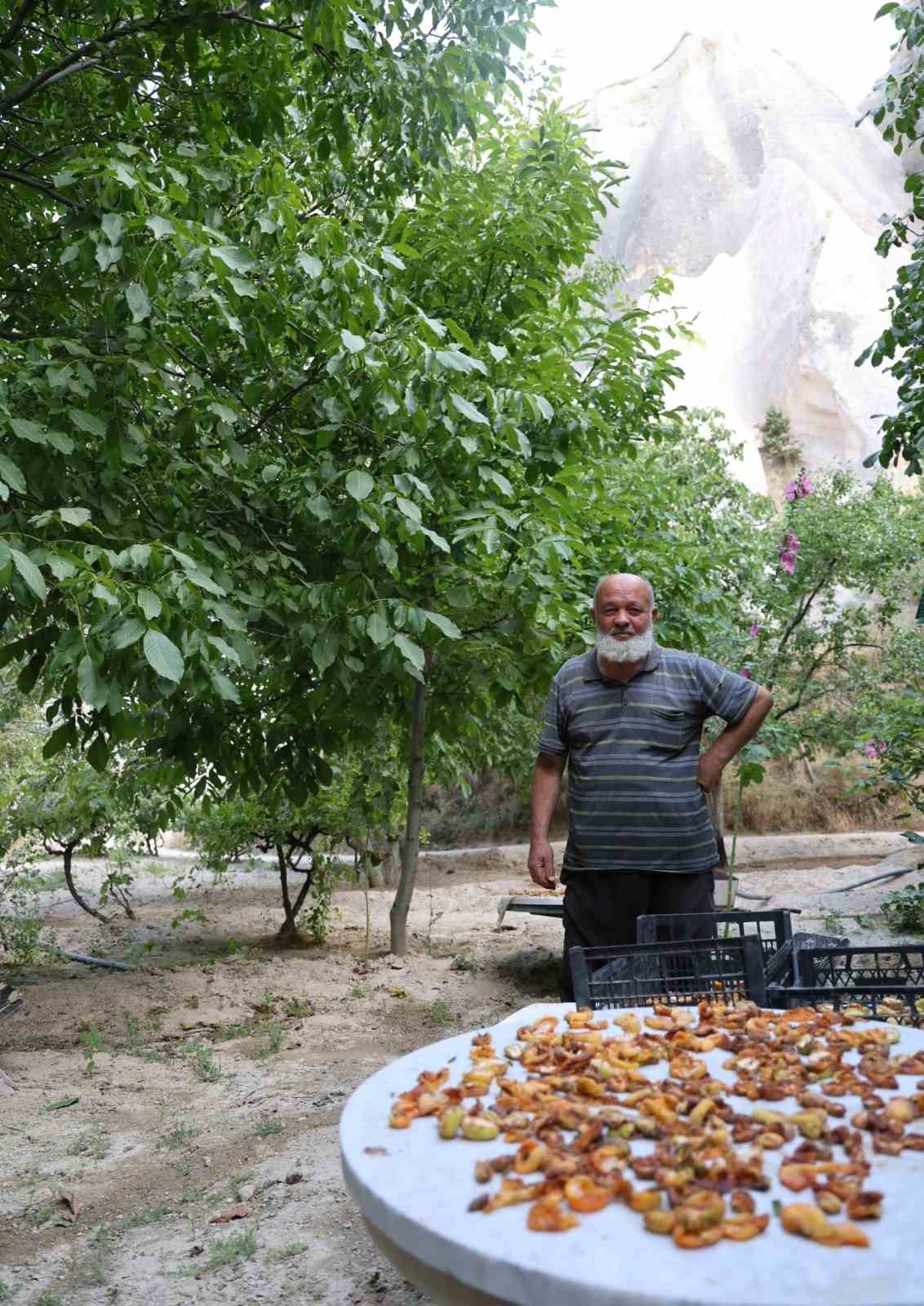 Ömrünün yarısından fazlasını turistlere adadı