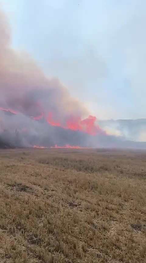 Bursa’da tarım alanlarındaki yangına itfaiye ve ormandan seri müdahale