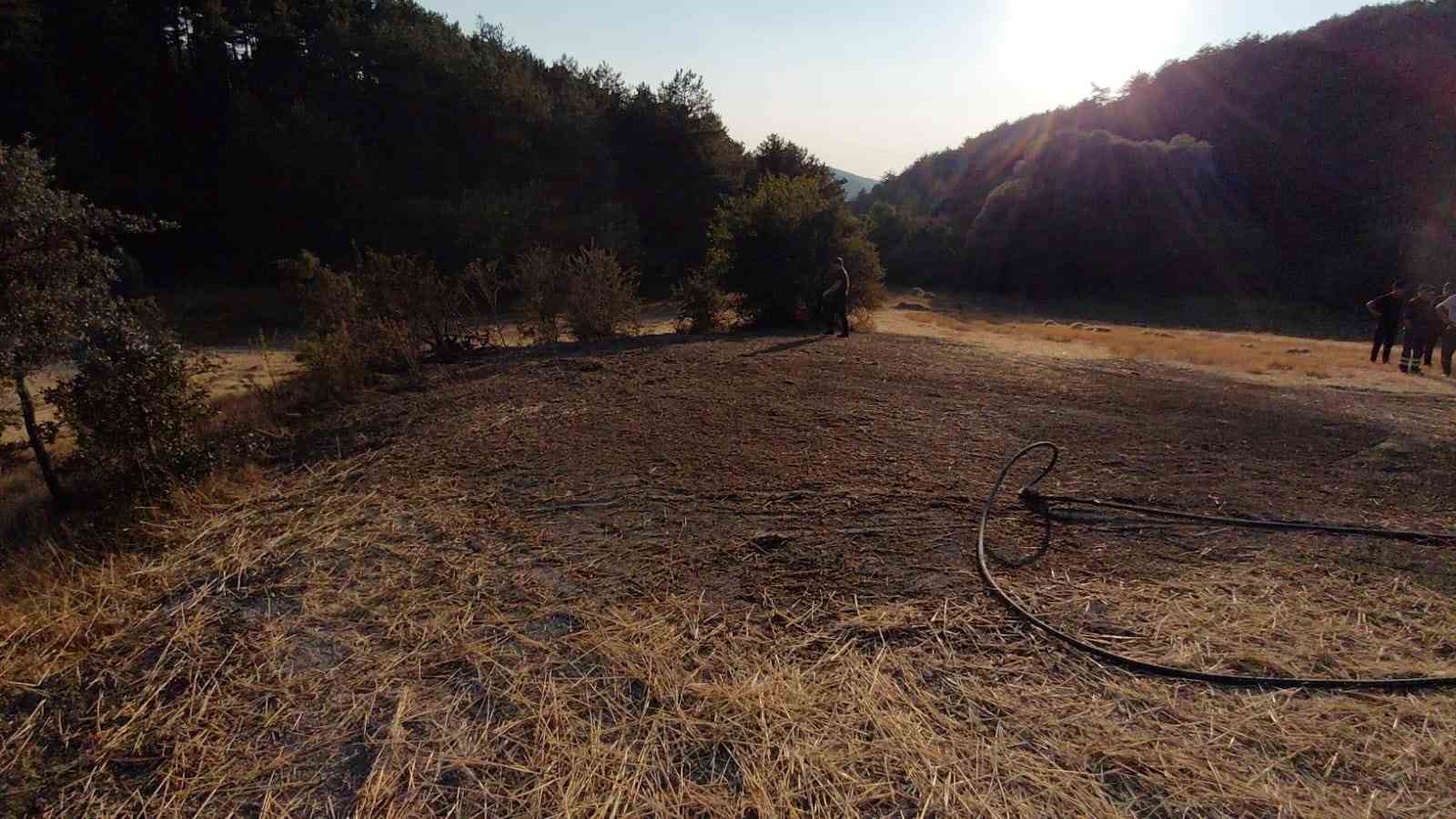 Bolu’da orman kenarında anız yangını: Köylülerin su tankerli müdahalesi faciayı önledi