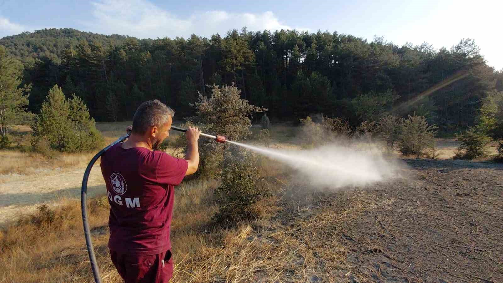 Bolu’da orman kenarında anız yangını: Köylülerin su tankerli müdahalesi faciayı önledi