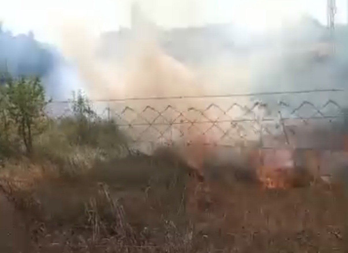 Otluk alandaki yangında meyve ağaçları zarar gördü