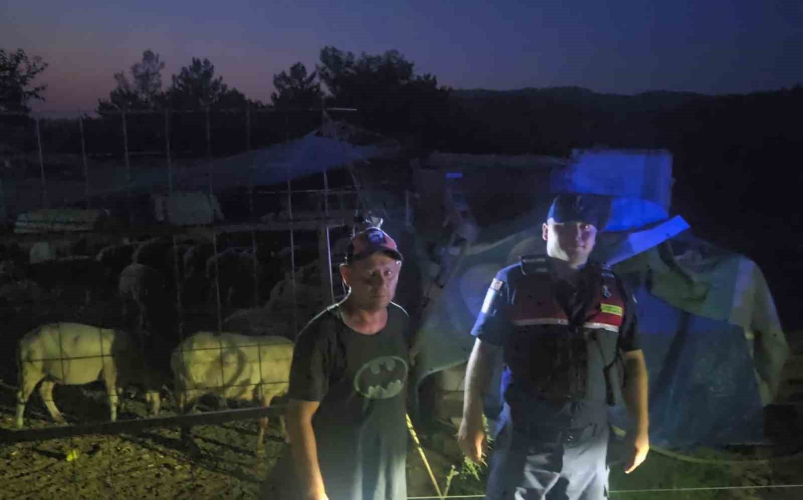 Firar eden 50 koyun jandarmanın dronu ile bulundu