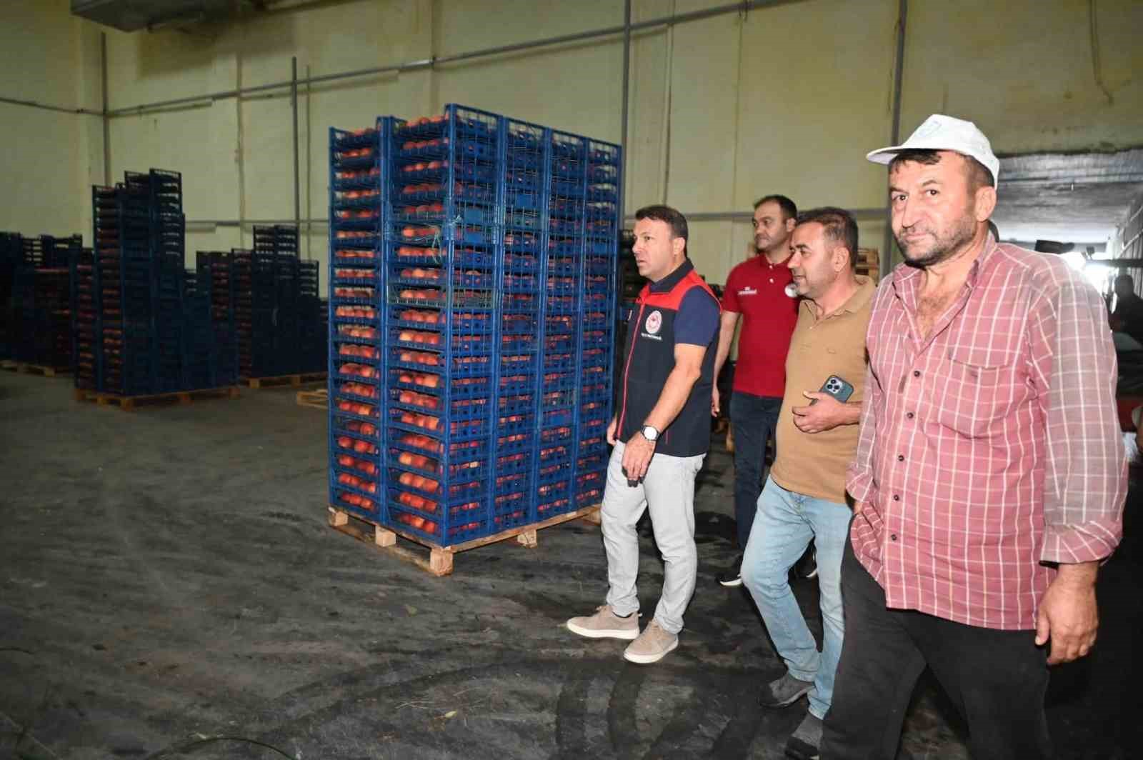 Çivril’de şeftalinin üretimden pazarlamaya yolculuğu incelendi