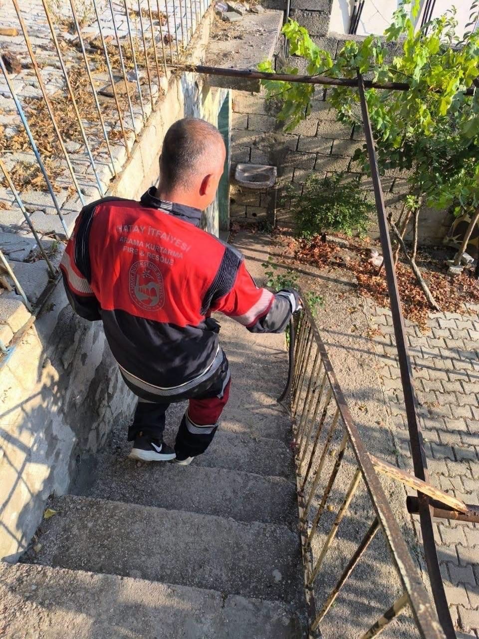 Hatay’da yerleşim yerlerinde görülen yılanlar doğal yaşam alanına bırakıldı