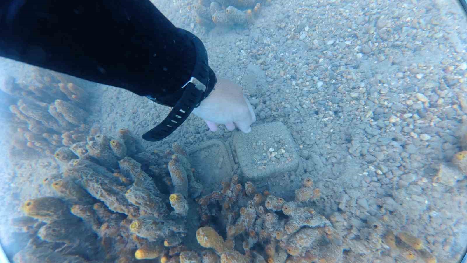 Bodrum’da deniz dibinden çıkanlar şaşırttı: Torba sahilinden 75 kilo atık çıkarıldı