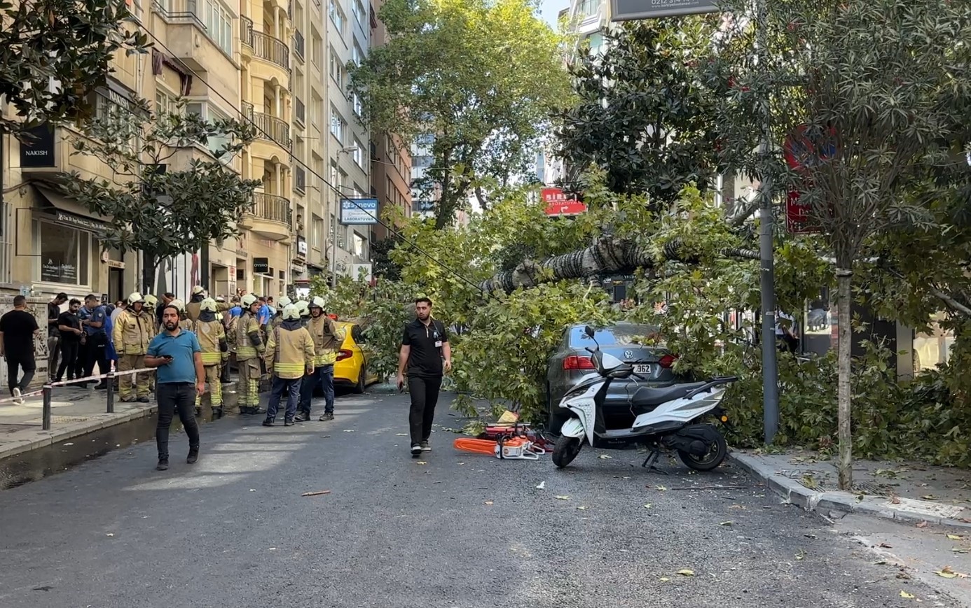 Nişantaşı’nda çınar ağacı iki aracın üzerine devrildi