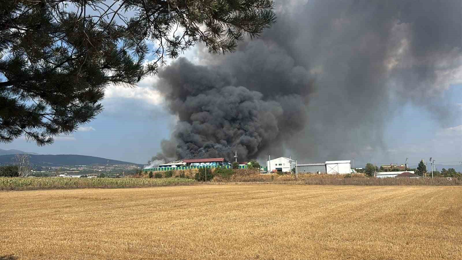 Bolu’da geri dönüşüm tesisinde yangın