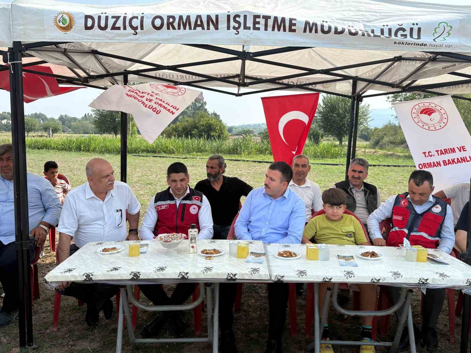 Osmaniye’de yerli ve milli ayçiçeği çeşitlerinde ilk hasat yapıldı