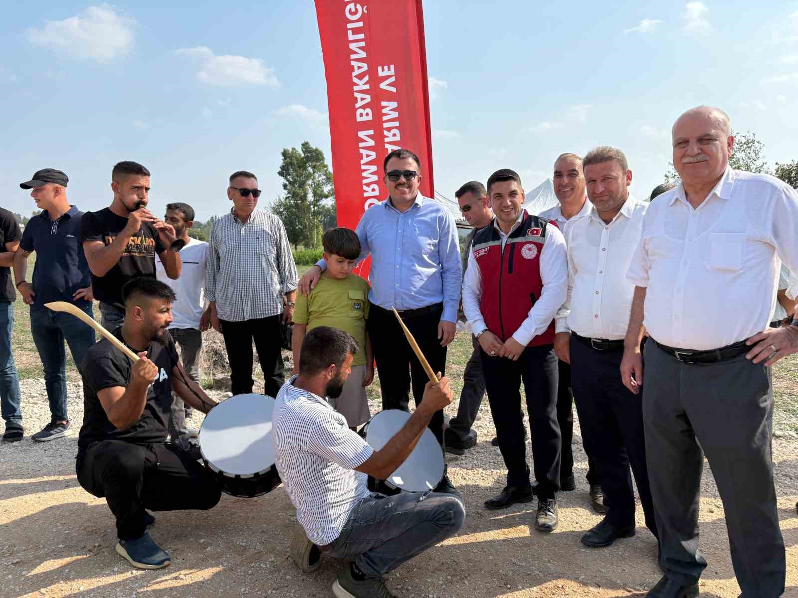 Osmaniye’de yerli ve milli ayçiçeği çeşitlerinde ilk hasat yapıldı