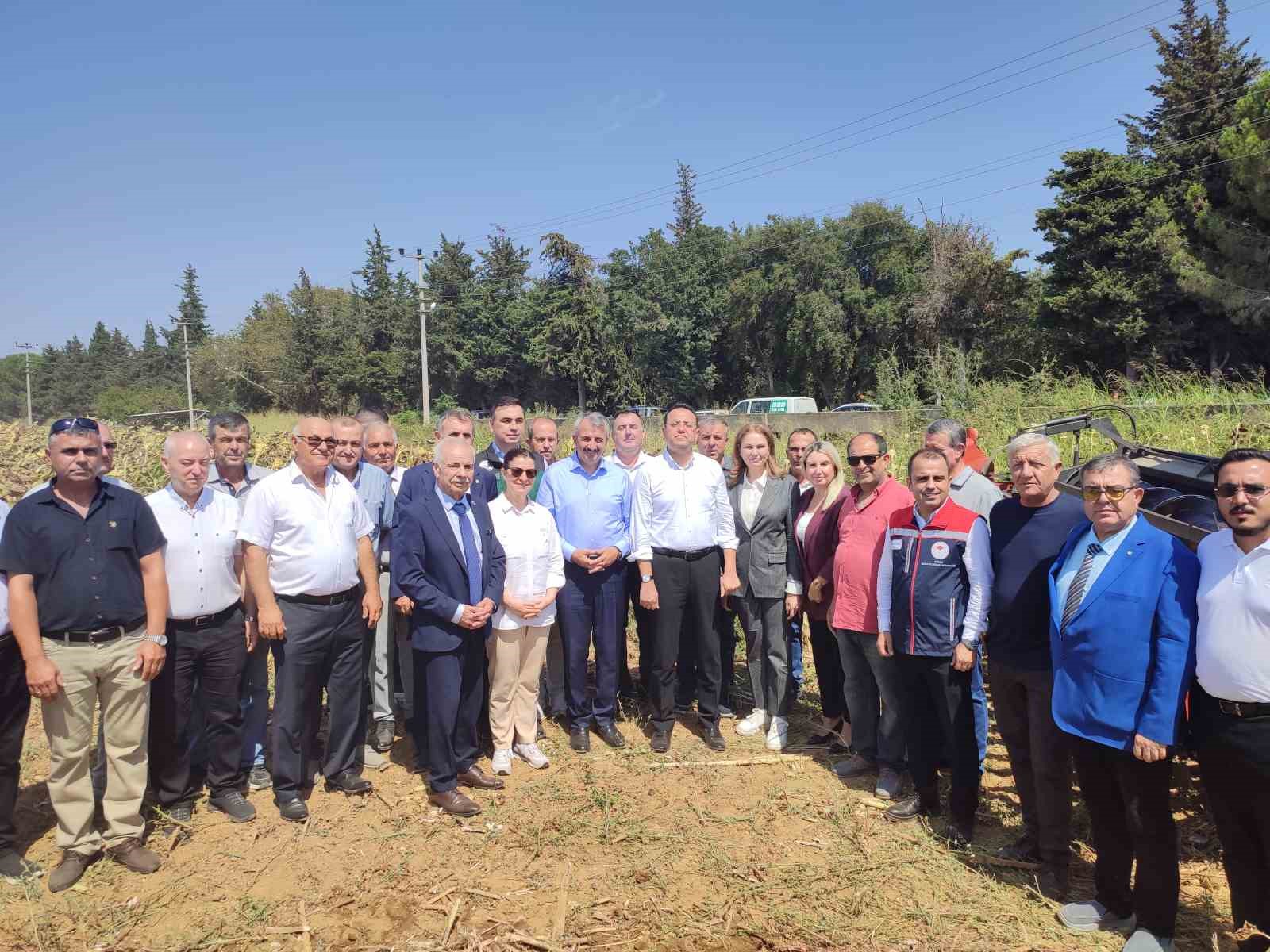 Tarım ve Orman Bakan Yardımcısı Gizligider Edirne’de ayçiçeği hasadına katıldı