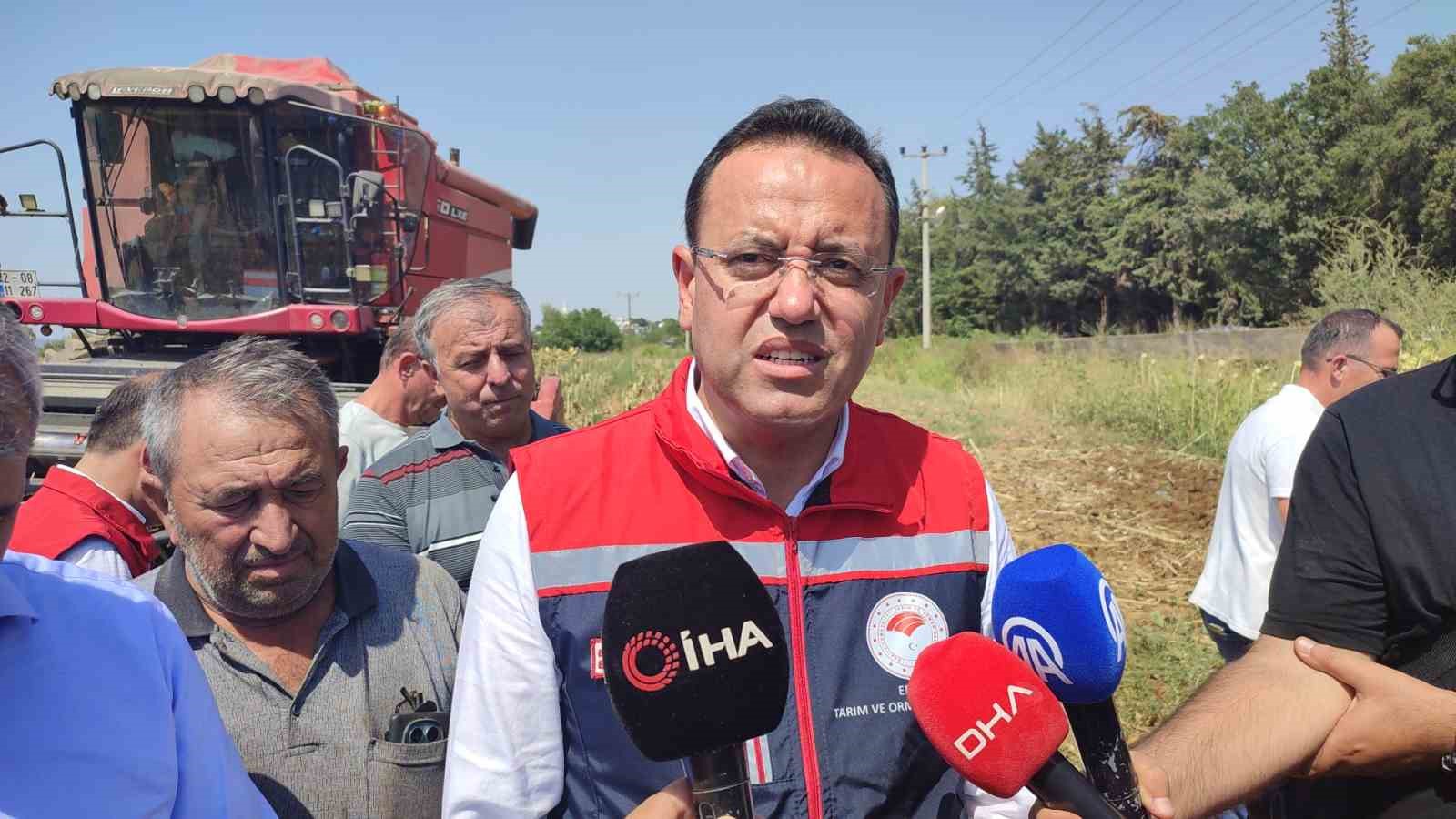 Tarım ve Orman Bakan Yardımcısı Gizligider Edirne’de ayçiçeği hasadına katıldı