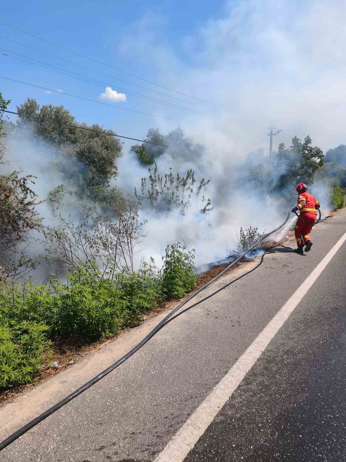 Ula’da yol kenarında başlayan alevler korkuttu