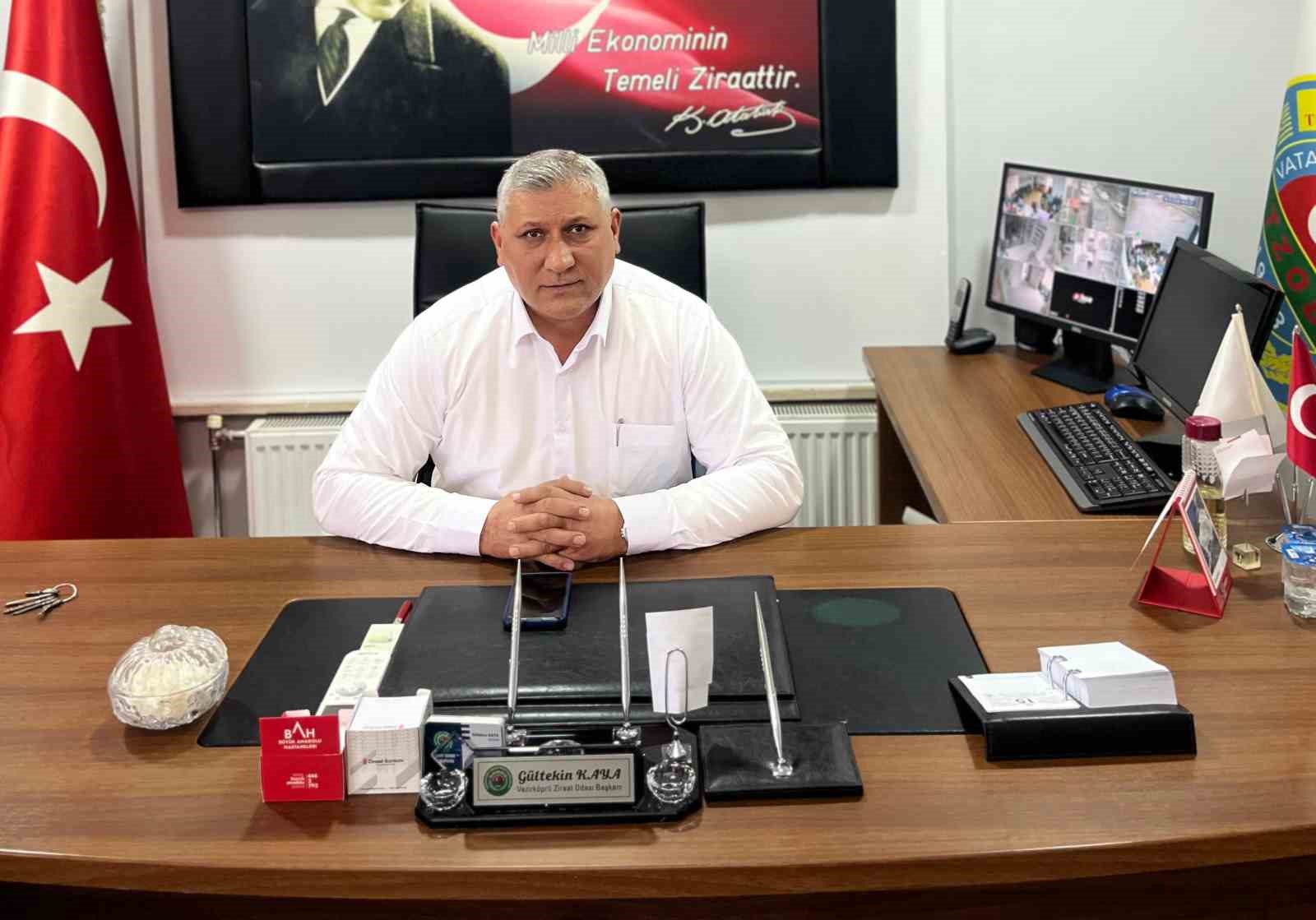 Vezirköprü’de ayçiçeği hasadı başladı