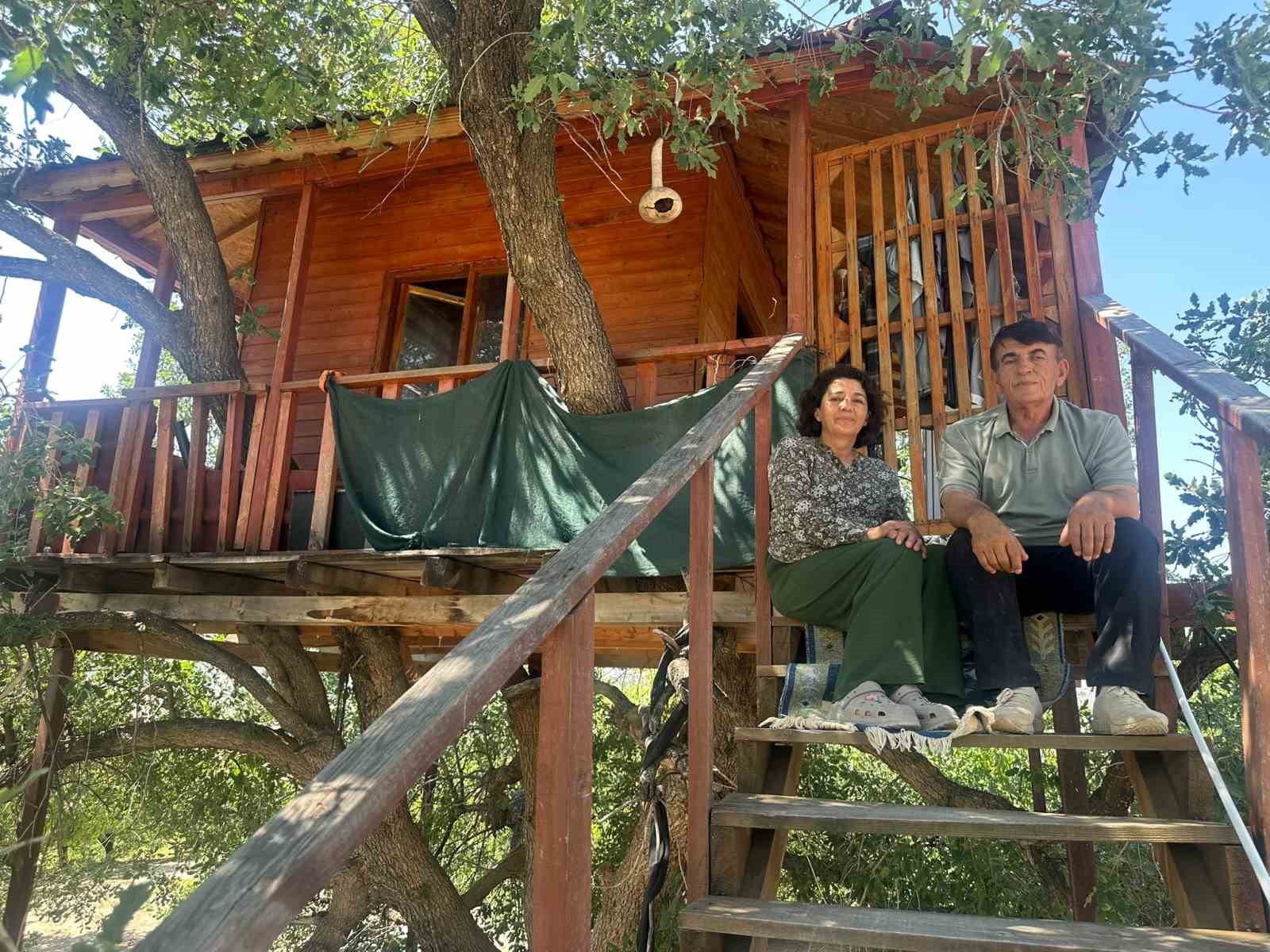 150 yıllık ağacın üzerine ev yaptı: Dallar odaların içinden geçiyor
