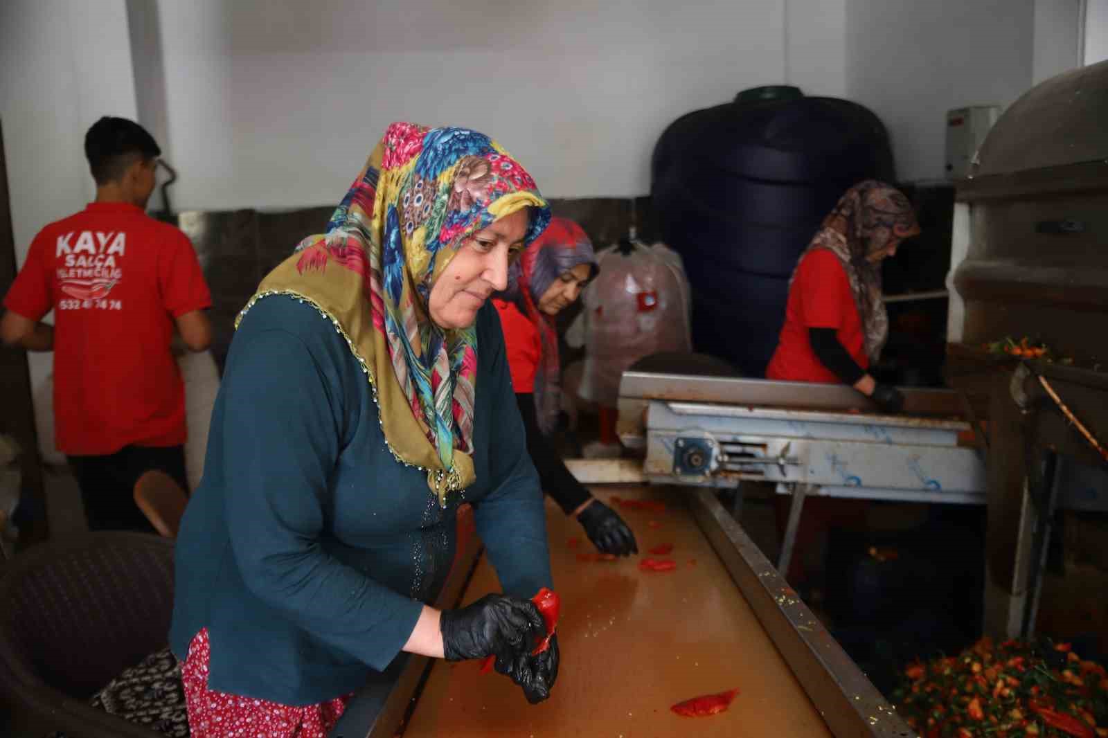 Gaziantep’te kışlık salça mesaisi başladı