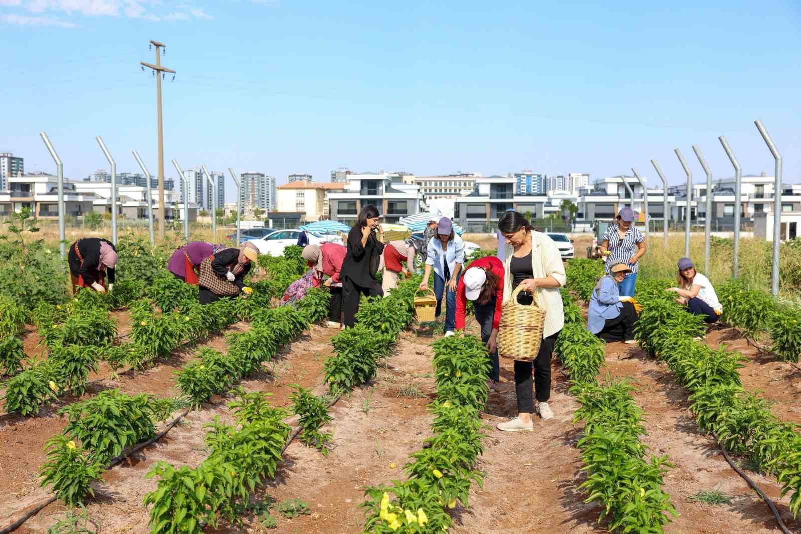 Eşbaşkan Bucak üretici kadınlarla buluştu