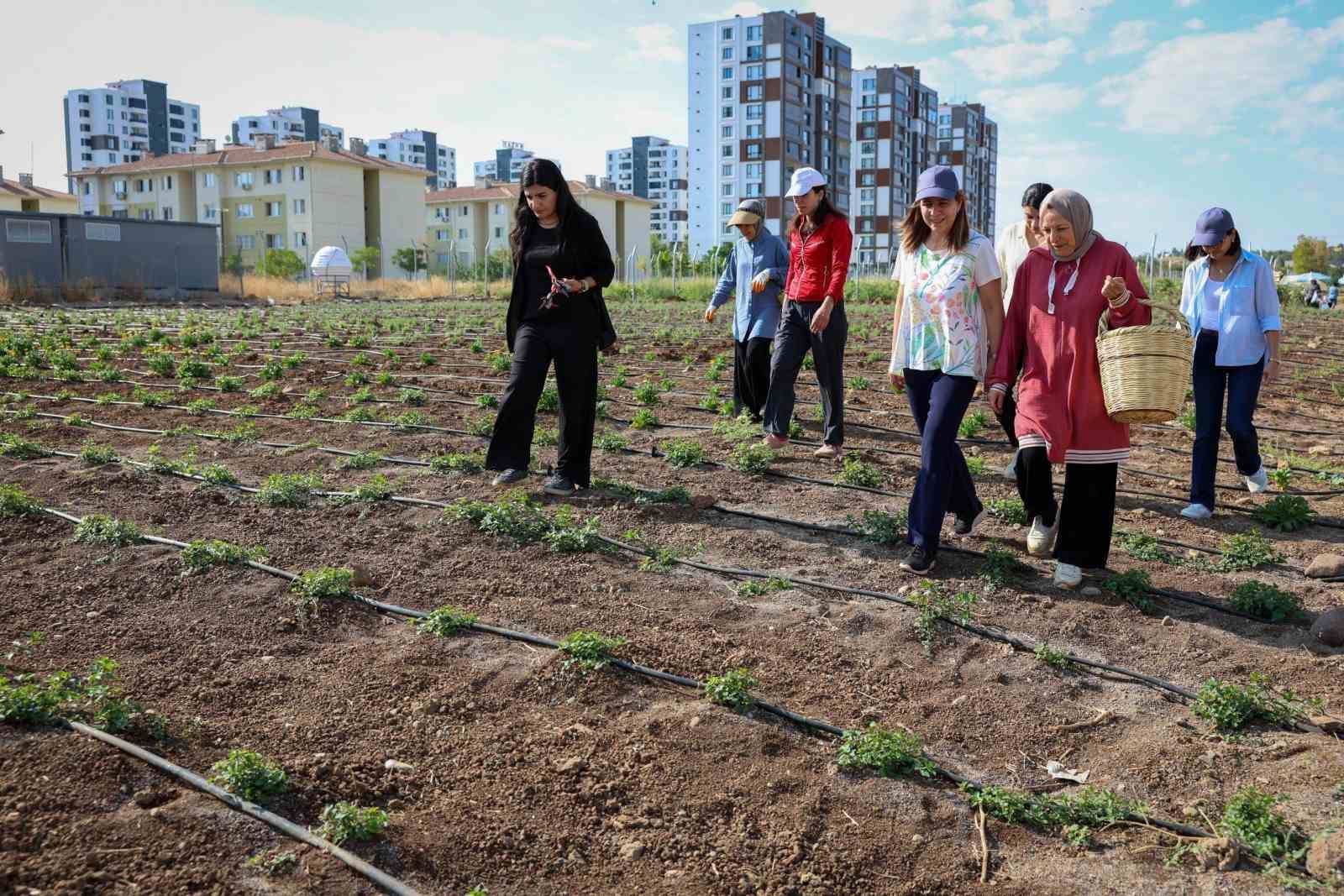 Eşbaşkan Bucak üretici kadınlarla buluştu