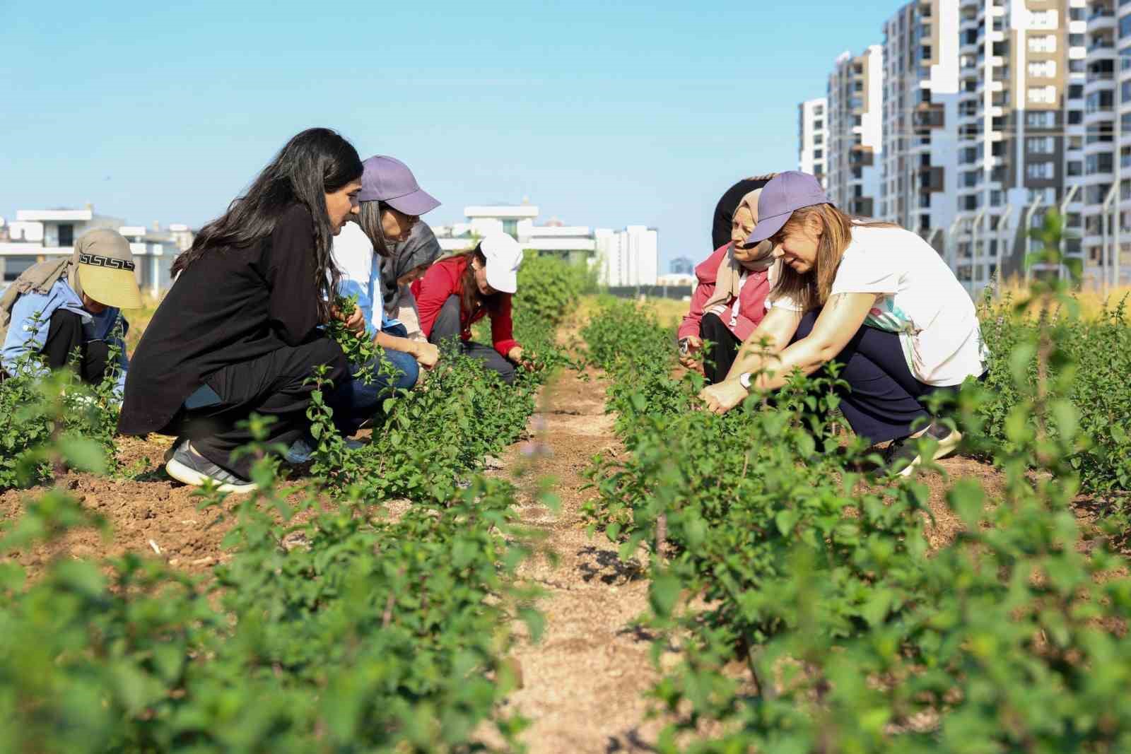 Eşbaşkan Bucak üretici kadınlarla buluştu