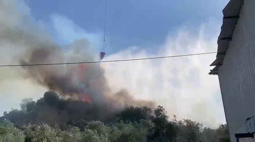 Aksu’da ormanlık ve zeytinlik alanda yangın
