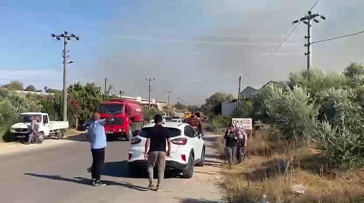 Aksu’da ormanlık ve zeytinlik alanda yangın