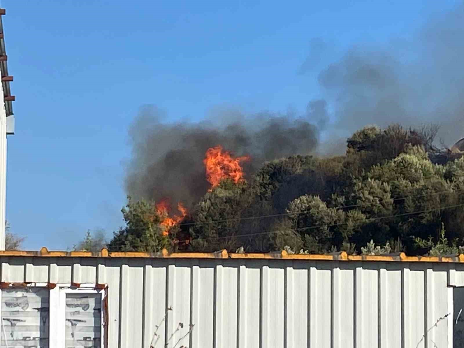 Aksu’da ormanlık ve zeytinlik alanda yangın