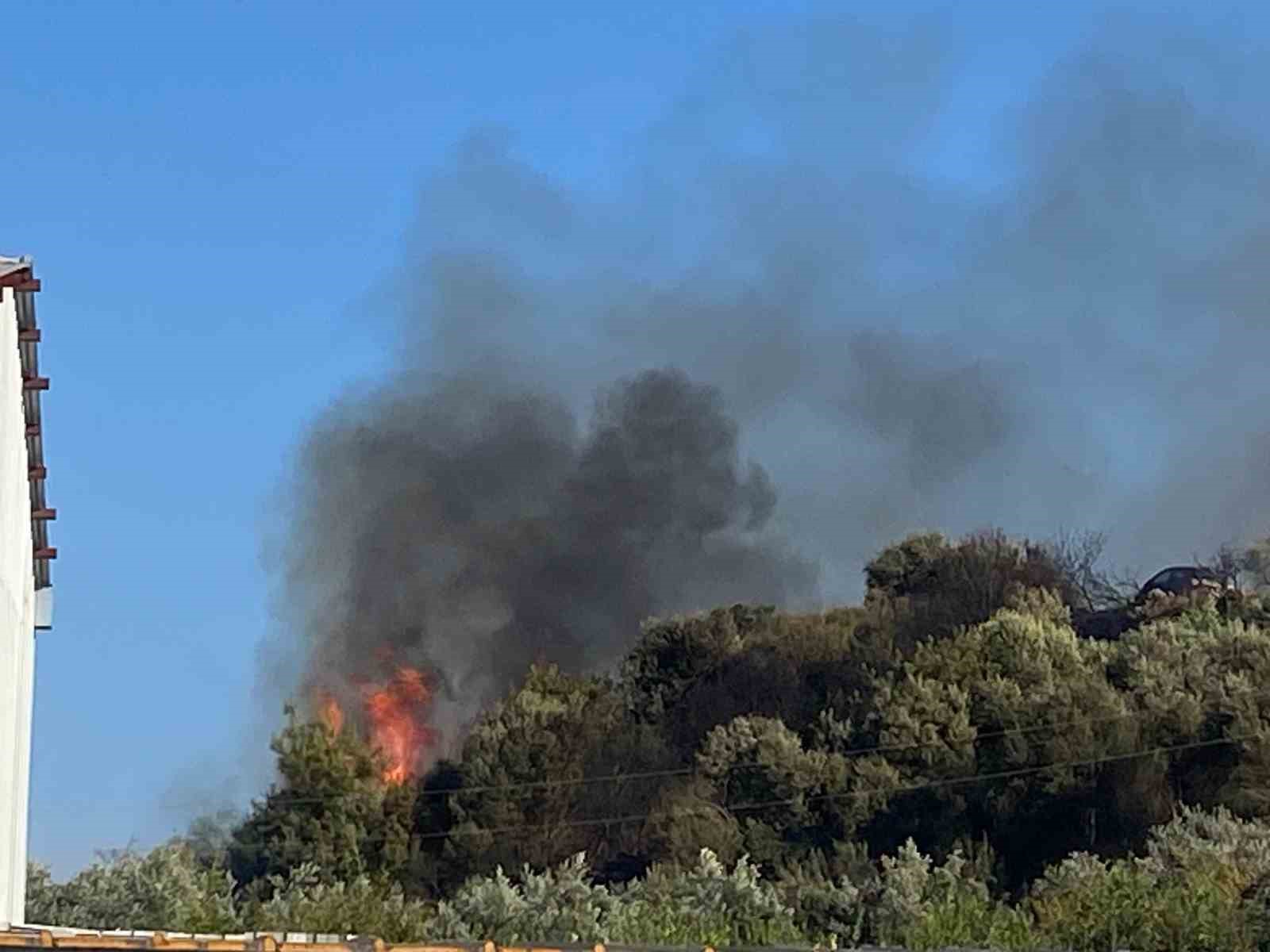 Aksu’da ormanlık ve zeytinlik alanda yangın