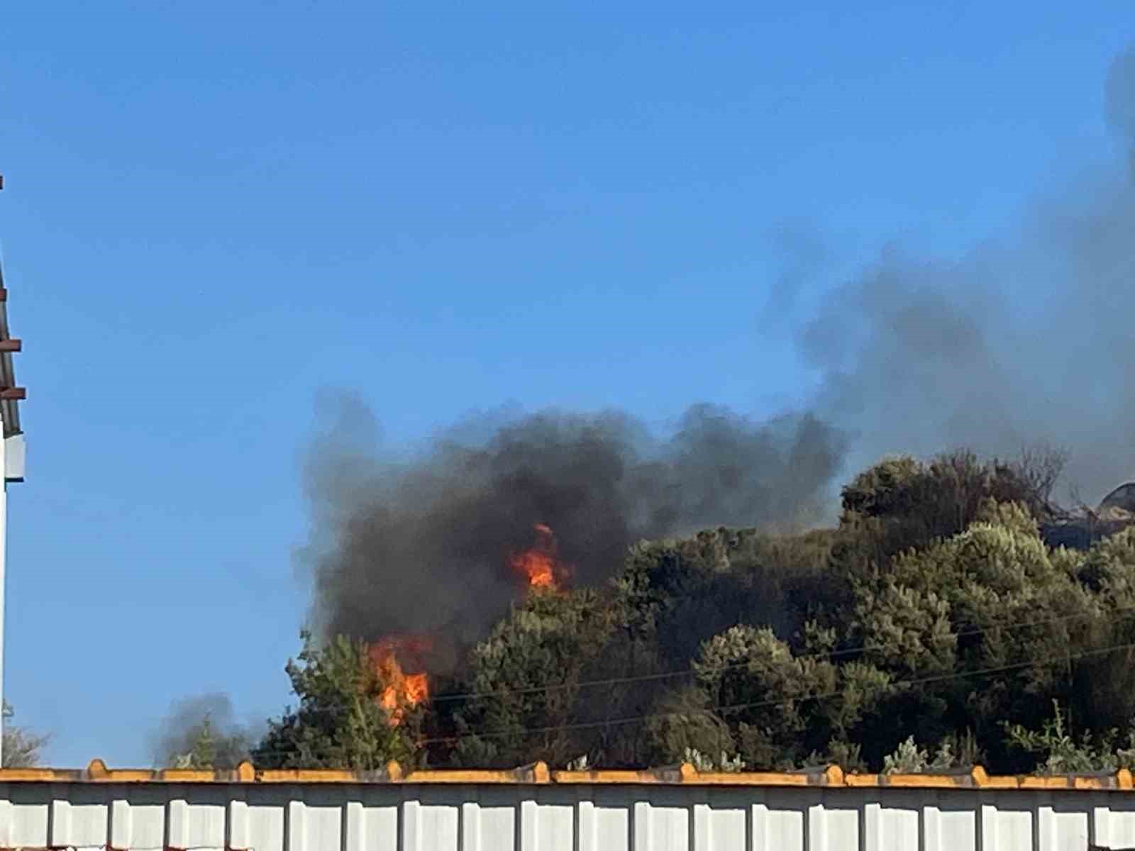 Aksu’da ormanlık ve zeytinlik alanda yangın