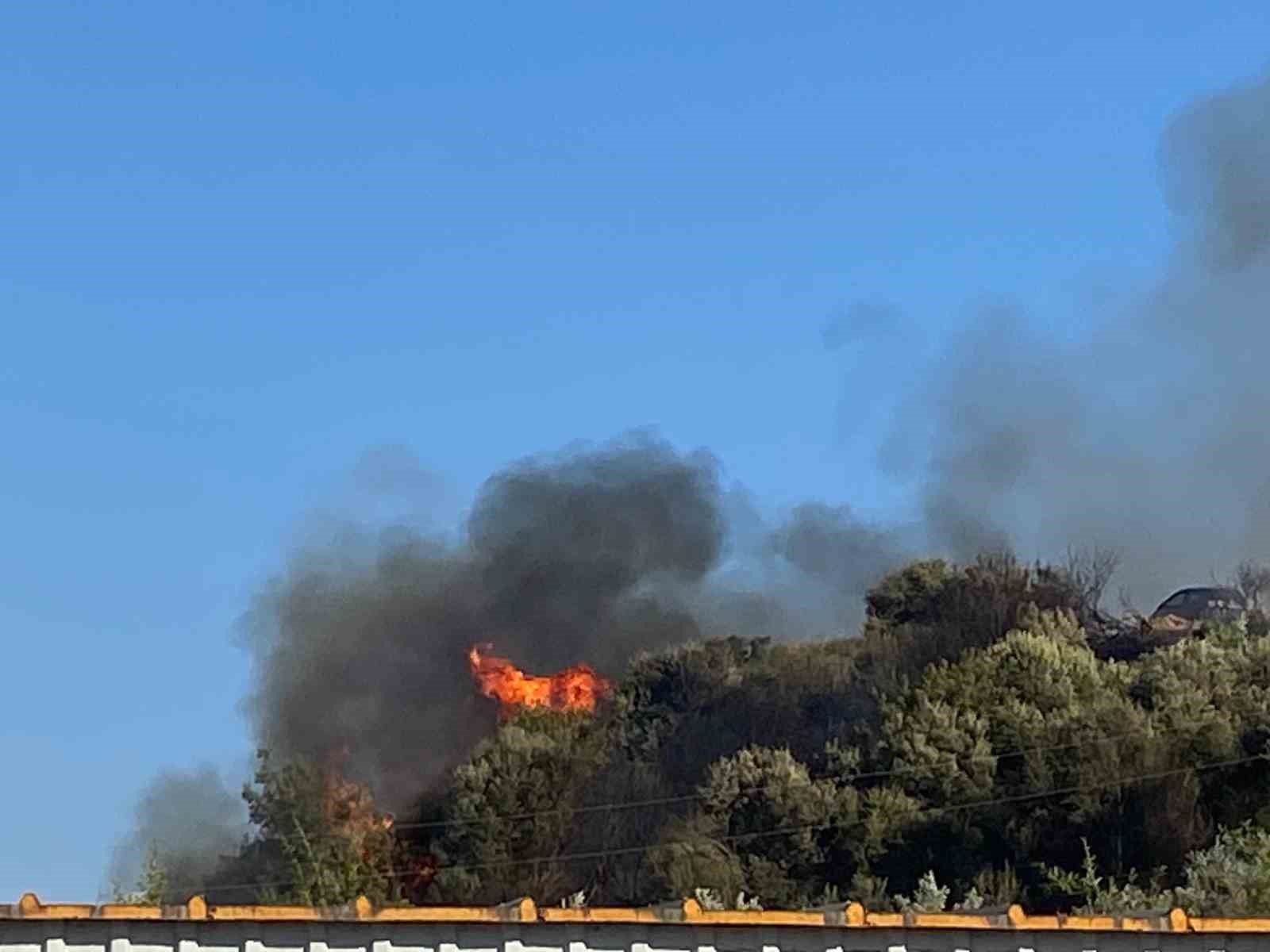 Aksu’da ormanlık ve zeytinlik alanda yangın