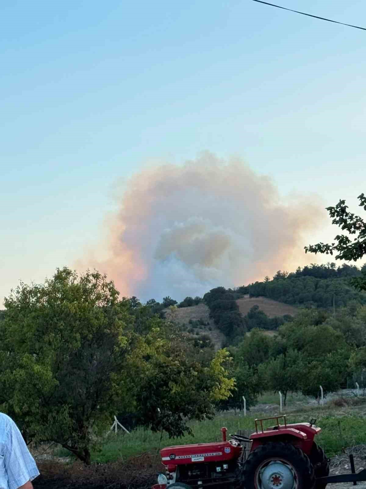 Altıeylül’de orman yangını