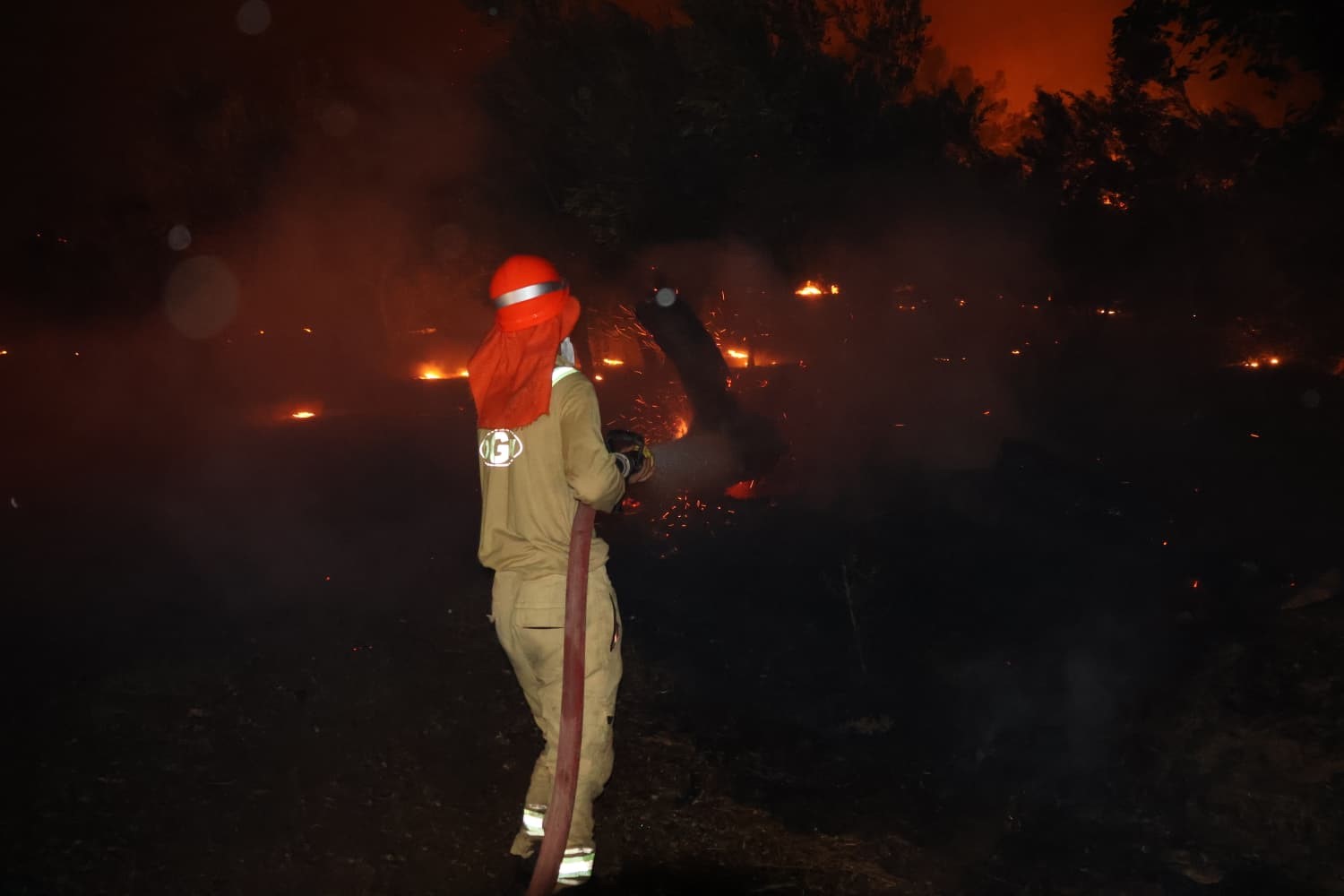 Fethiye’deki orman yangını evlere sıçradı, tahliye çalışmaları sürüyor