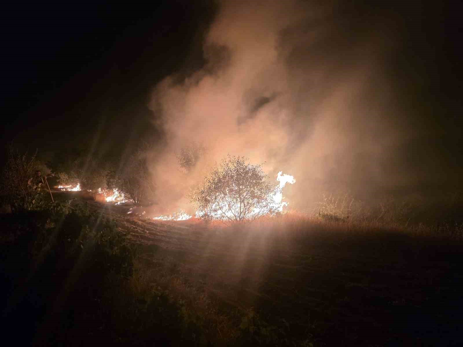 Elazığ’da odunlukta çıkan yangın otluk alanda sıçradı, ekipler söndürdü