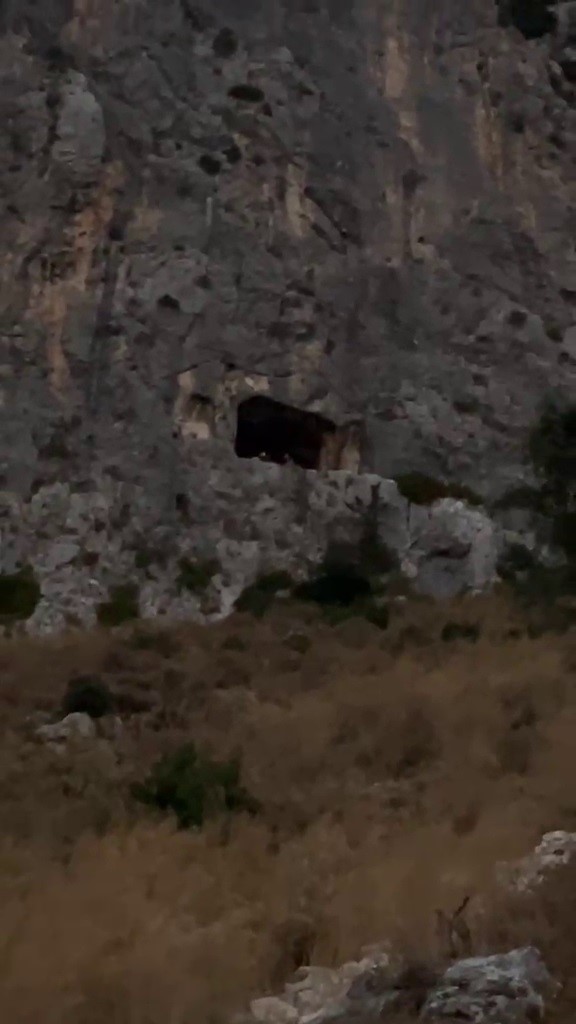 Dağ yüzeyindeki mağarada mahsur kalan şahıs kurtarıldı
