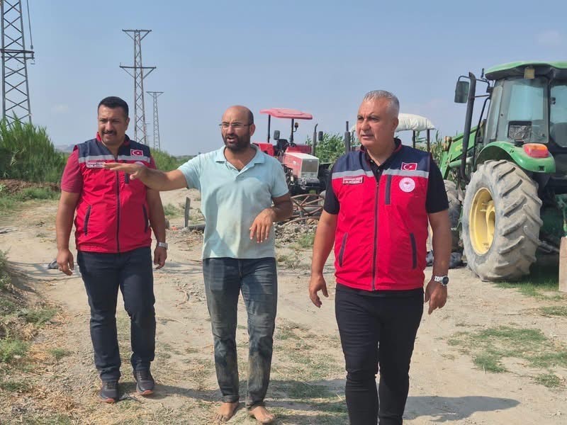 Antakya’da mısır hasadı devam ediyor