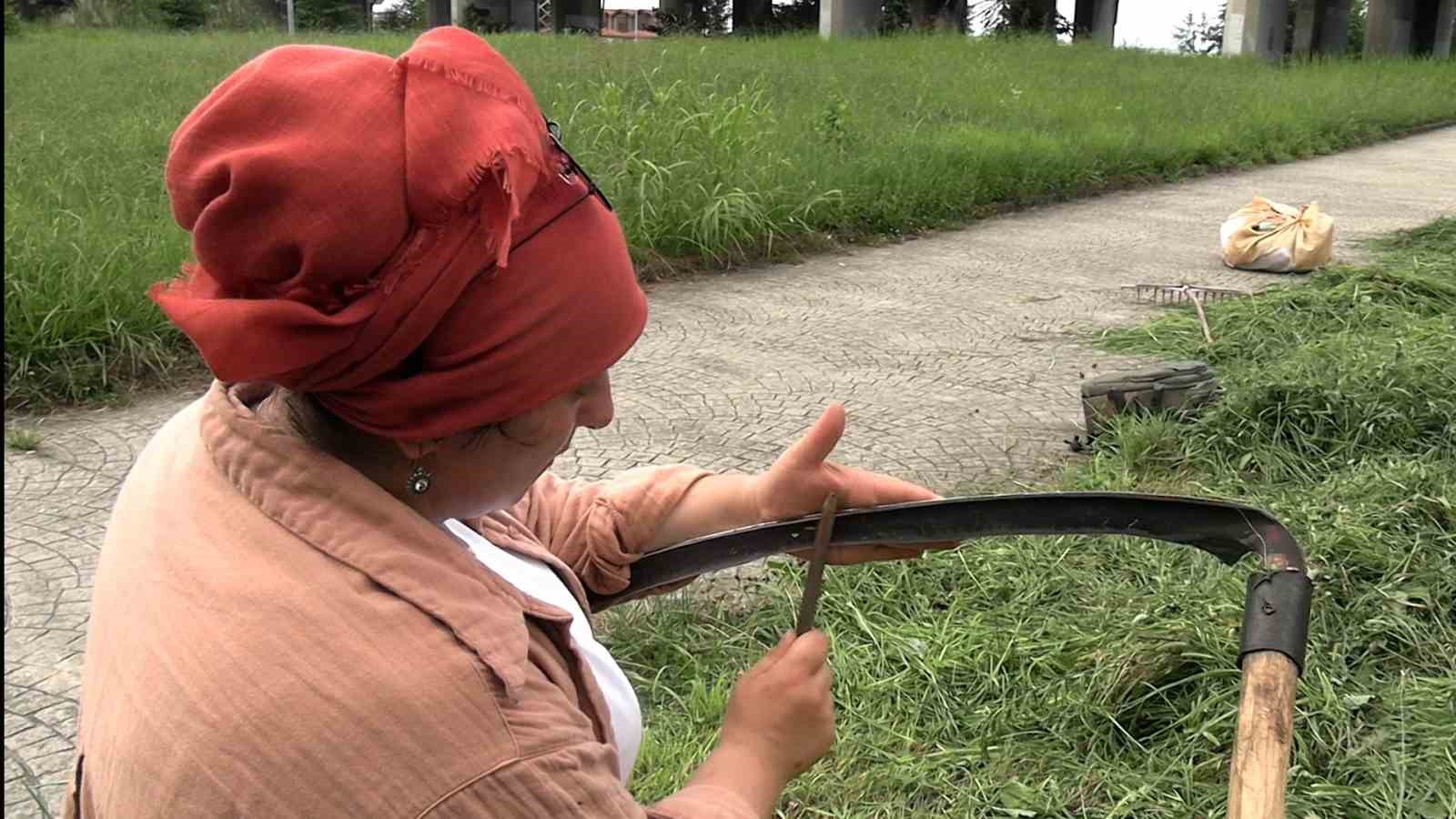 Şehir merkezinde tırpanla geçim mücadelesi