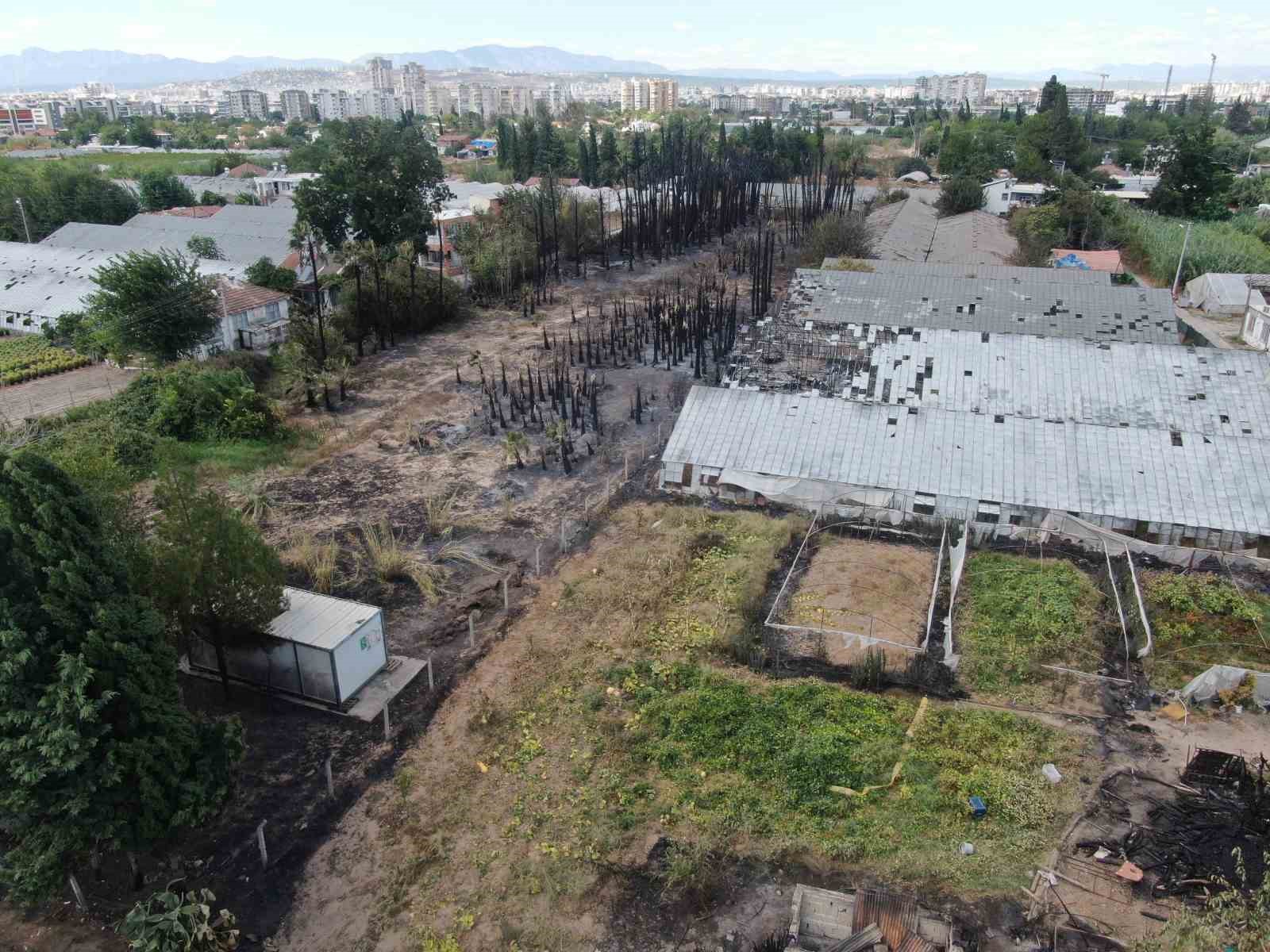 Mahalledeki yangın 80’lik çiftin evini ve hatıralarını yaktı