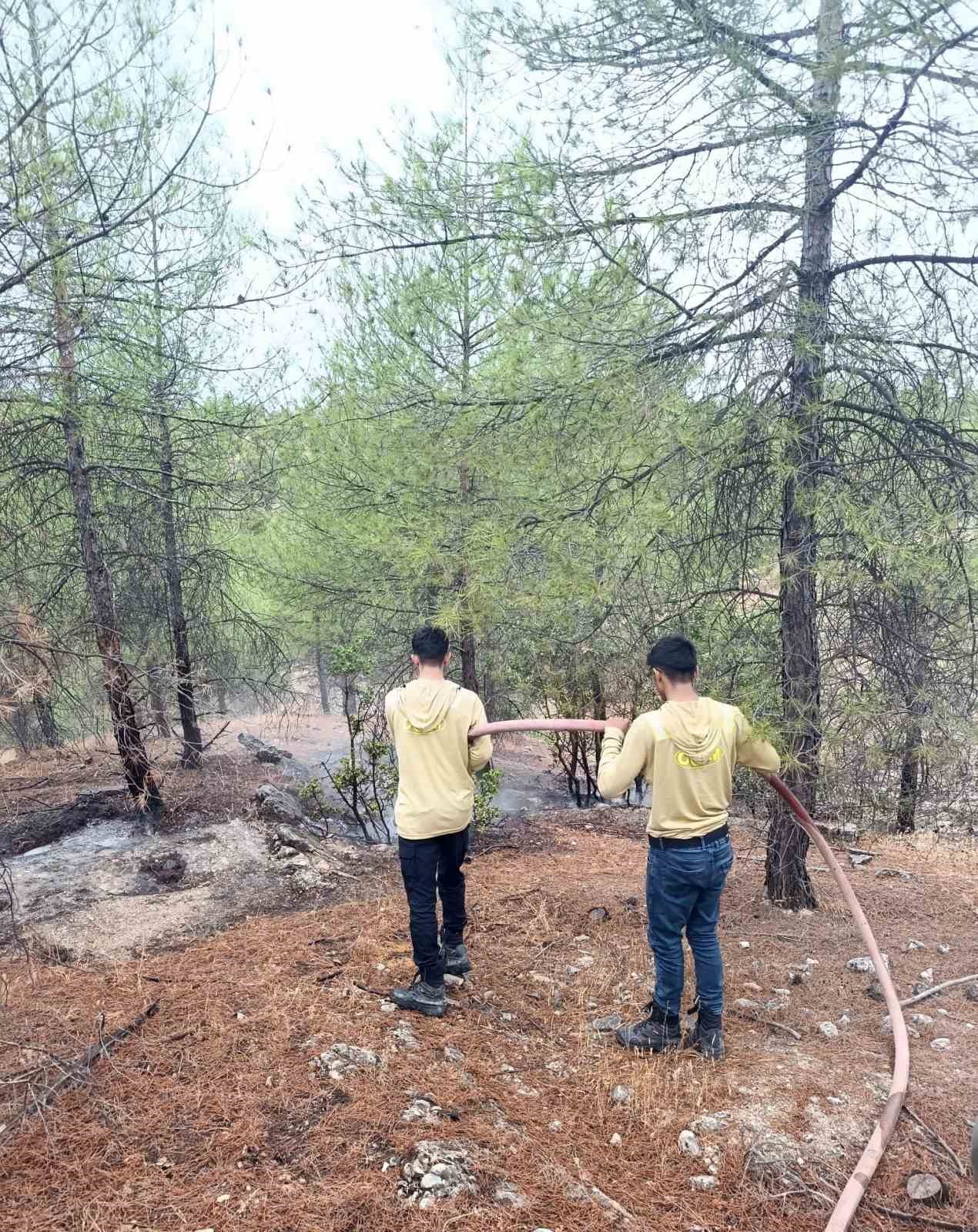 Kilis’te yıldırımın düşmesiyle ormanlık alanda yangın çıktı