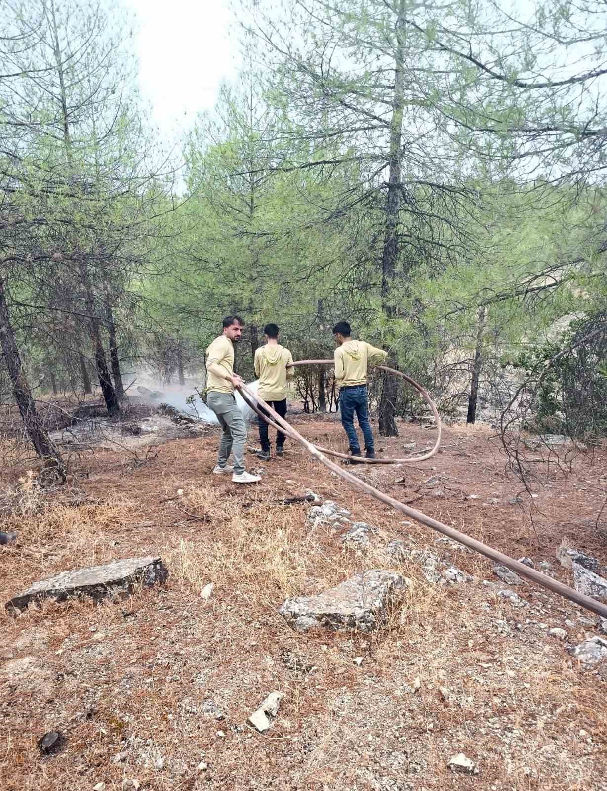 Kilis’te yıldırımın düşmesiyle ormanlık alanda yangın çıktı