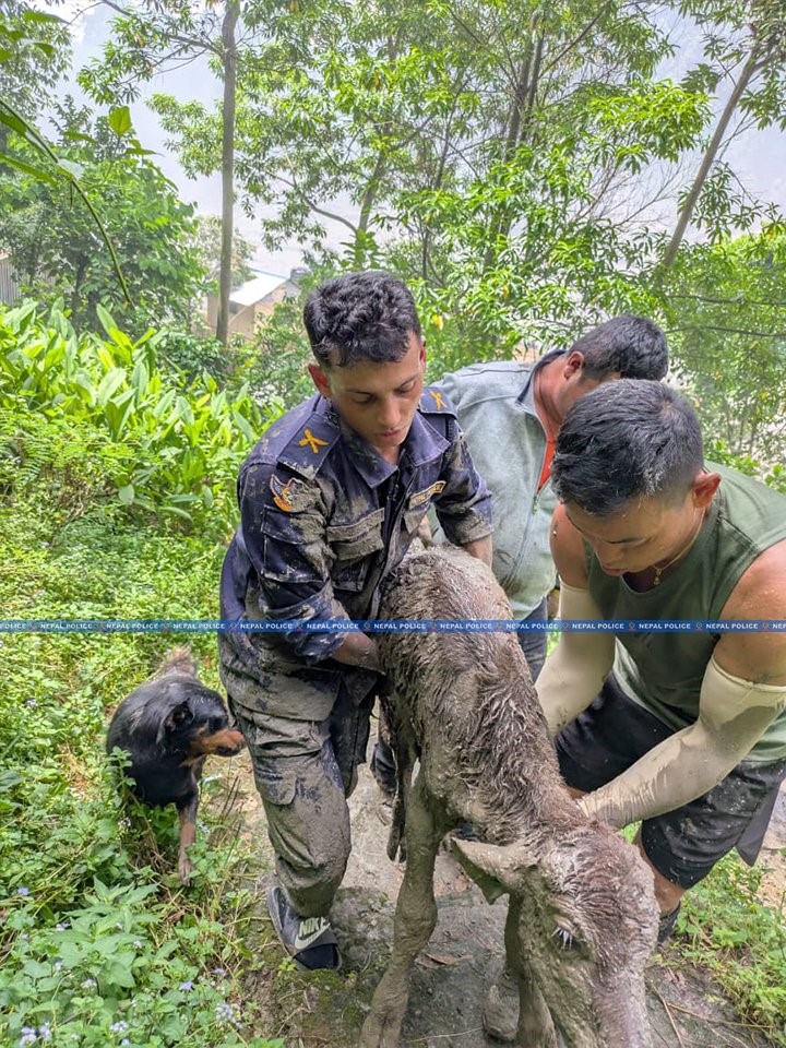 Nepal’deki sel felaketinde can kaybı 676’ya yükseldi