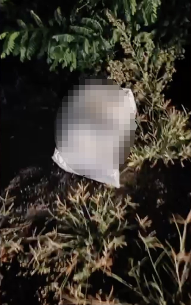 Biri İstanbul’dan uyuşturucu getirirken, diğeri torbacılık yaparken yakalandı