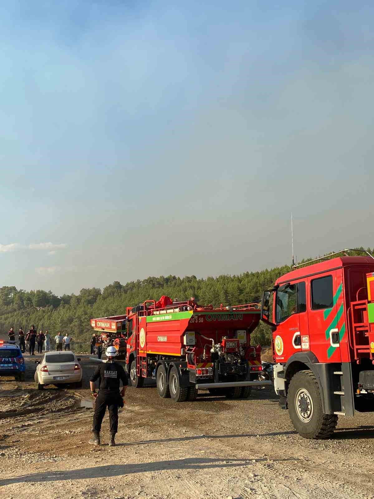 Yangın bölgesinde canlıların tahliyesi için seferber oldular
